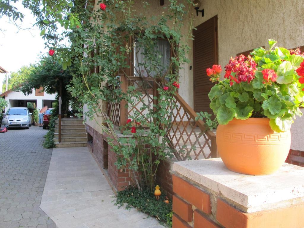 Foki Apartman Sopron Exteriör bild